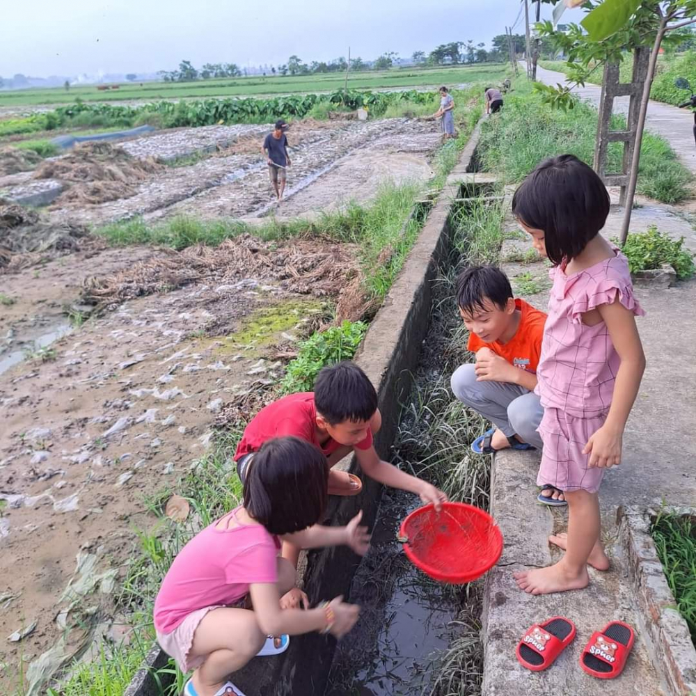 Con đi bắt cá