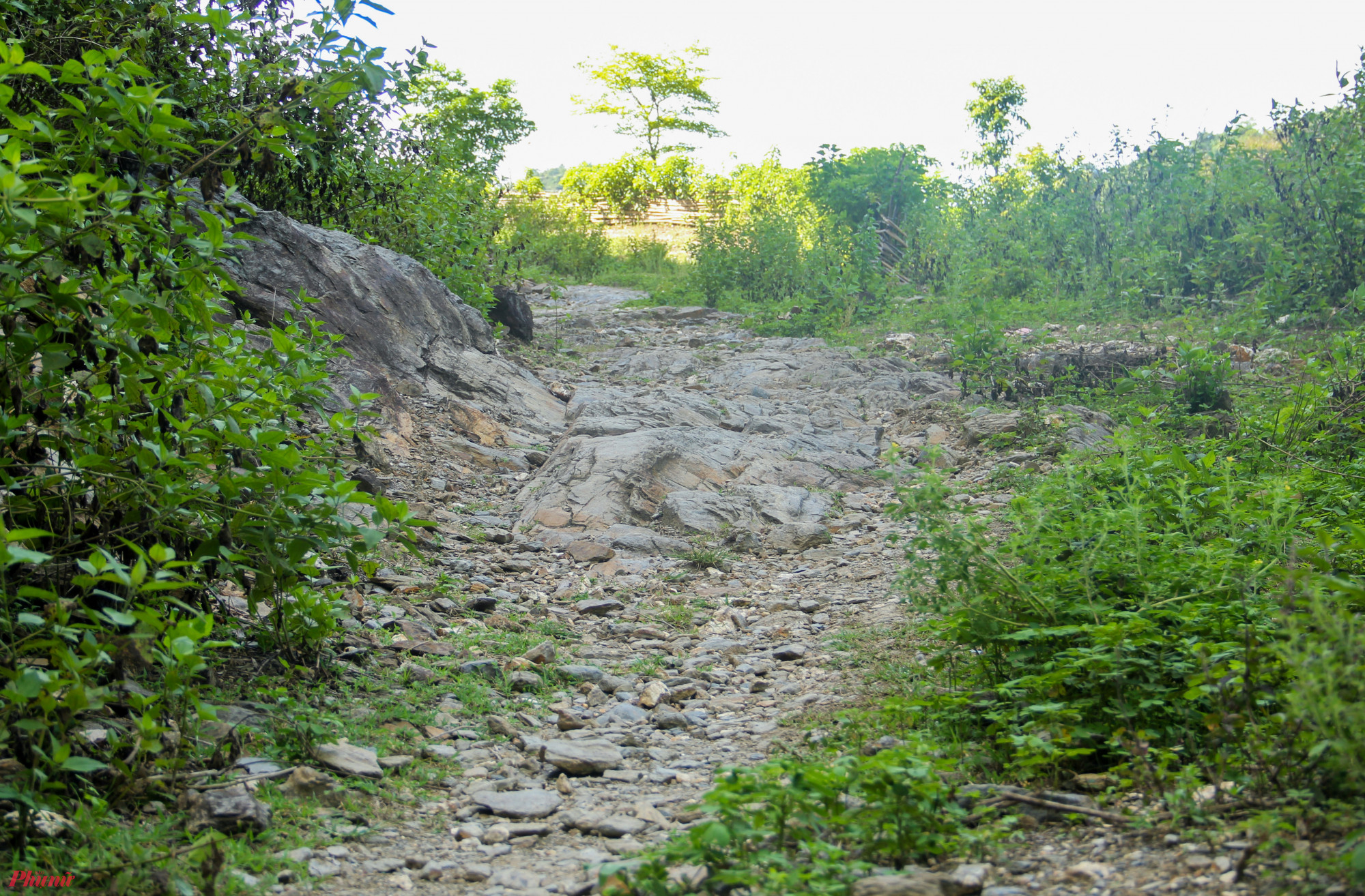 Tuyến đường này bắt đầu từ bản Côi vào bản Cà Moong, dài 16km. Dự án do UBND huyện Tương Dương làm chủ đầu tư với kinh phí 195 tỉ đồng, dự kiến hoàn thành trong vòng 30 tháng. Tuy nhiên, sau khi đã chi hơn 70 tỉ đồng để giải phóng mặt bằng, làm nền đường thì công nhân dừng thi công. Kể từ đó, tuyến đường độc đạo này bị bỏ quên đến nay.