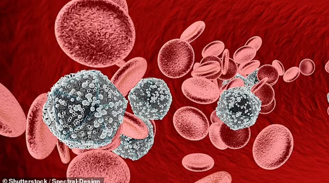 Virus HIV lẫn với tế bào máu — Ảnh: Shutterstock