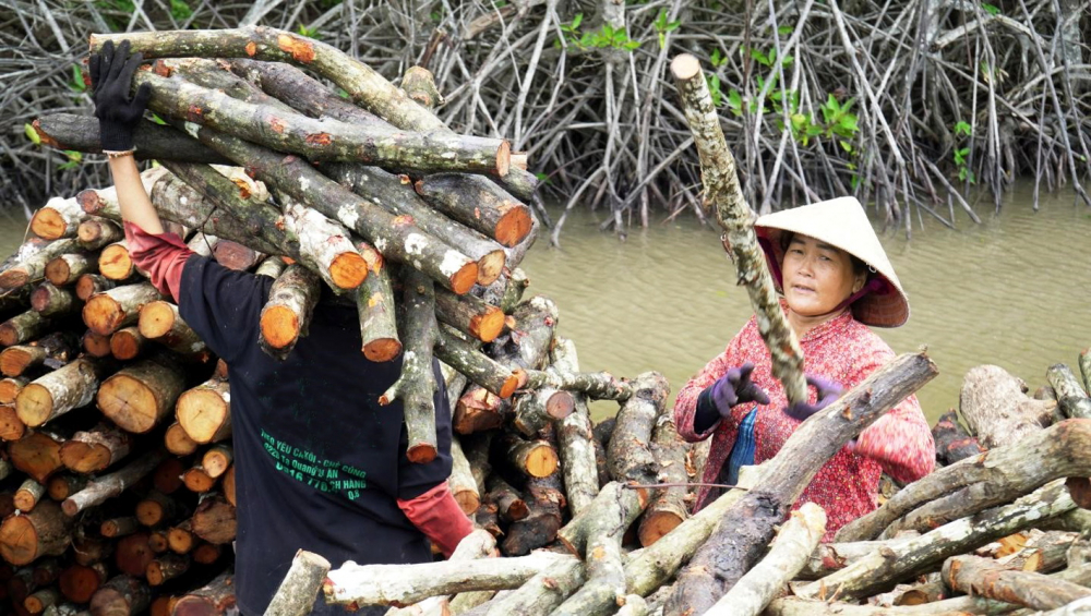 Bà Lê Thị Tuyết kiếm được 200.000 đồng/ngày từ công việc vác củi cho hầm than 
