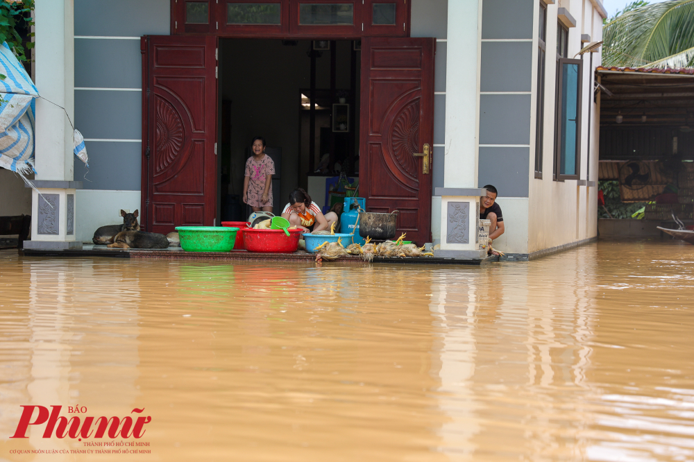 Nước sông dâng cao tới tận hiên nhà.