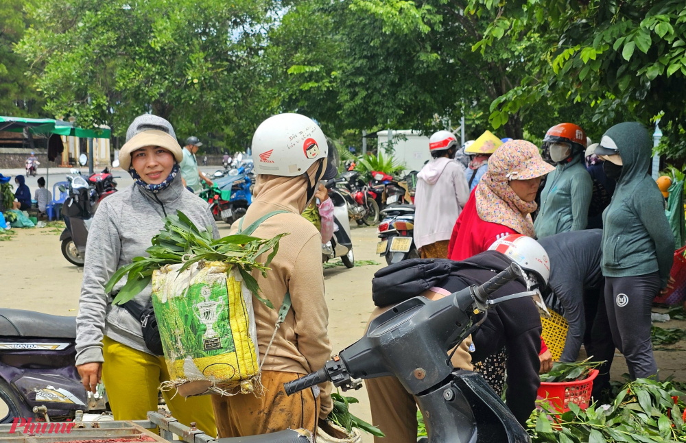 Nấm tràm mọc nhiều ở những cây tràm lớn, vùng trồng tràm lâu năm, vùng đất ẩm thấp có lớp lá không quá dày. Lá tràm rụng che gần kín mặt đất, chỉ cần cào nhẹ lớp lá sẽ phát hiện những búp nấm đang “nấp” bên dưới.