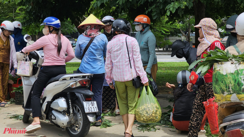 Trước đây ở Huế không có nấm tràm, nấm tràm chỉ xuất hiện vài năm gần đây khi rừng keo tràm phát triển. Cây tràm có tinh dầu, khi lá cây rụng xuống sẽ ủ lớp đất và chỉ cần nắng nóng kéo dài rồi có mưa giông là nấm tràm sẽ mọc. Ở Huế, vào tháng 6 và tháng 9 âm lịch là thời điểm nấm tràm mọc nhiều nhất