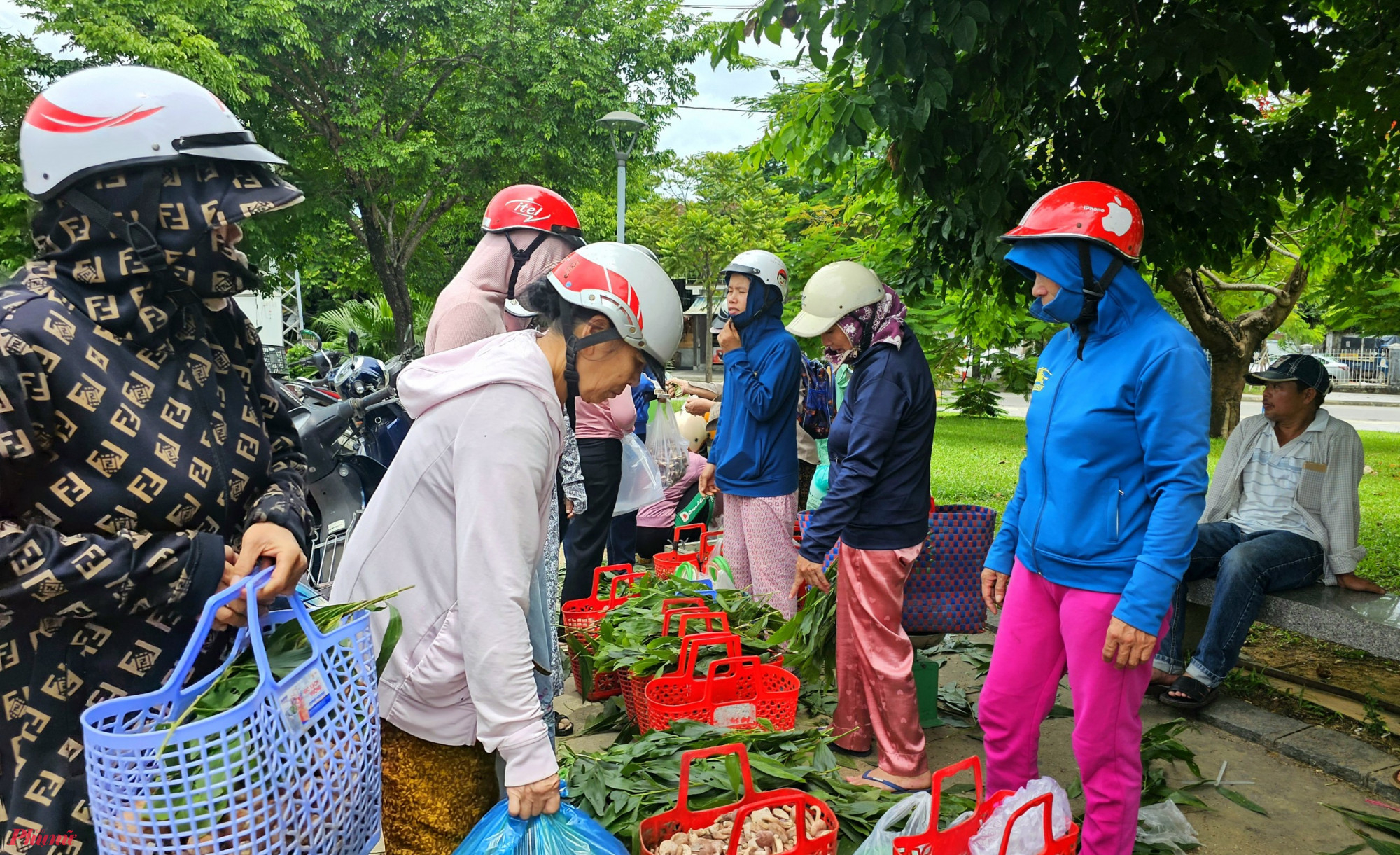 Nấm tràm rất dễ bán. Người dân sau khi hái về thường bày bán ngay trước chợ tự phát ở Đàn Nam Giao (TP Huế) cho khách qua đường.