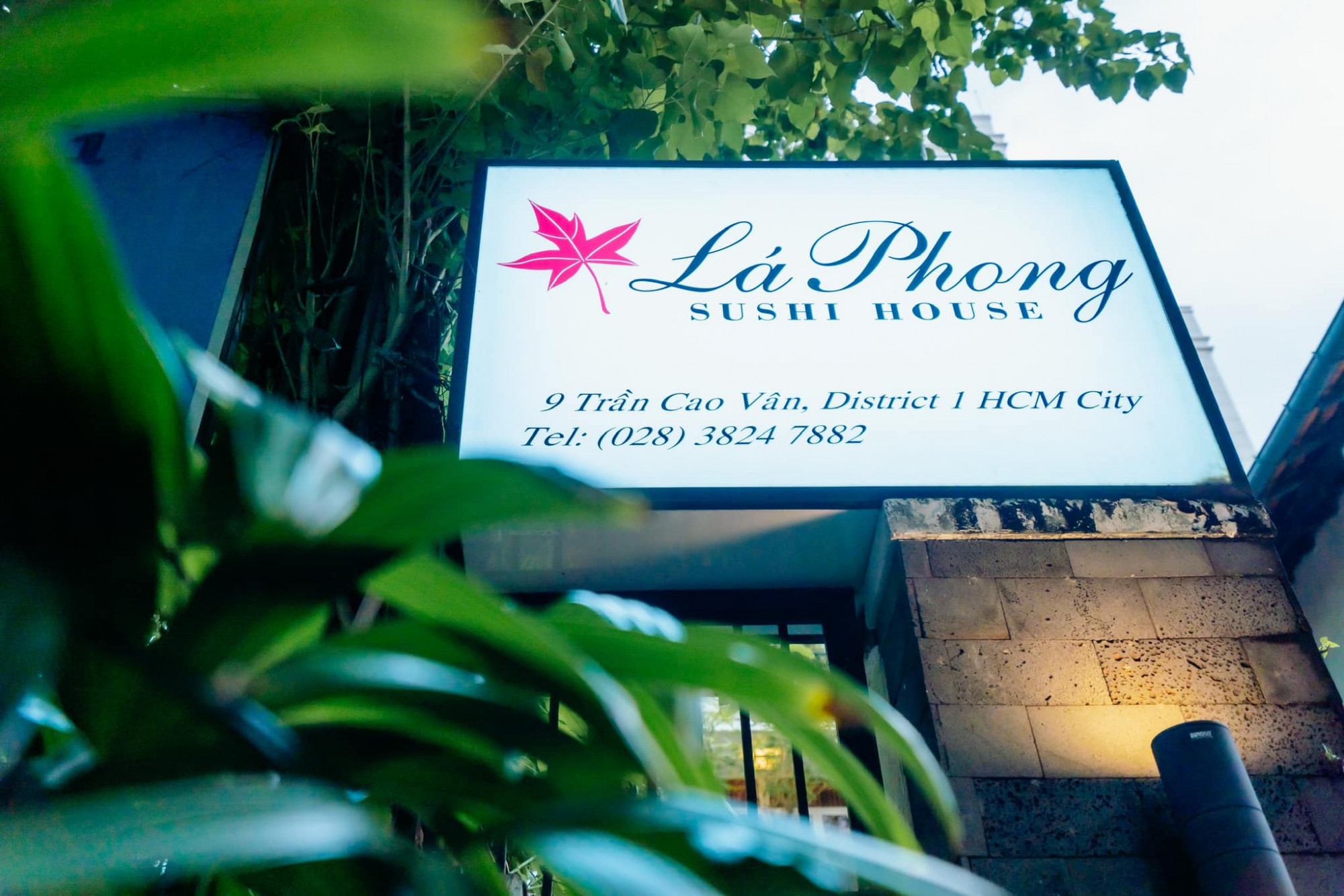 Lá Phong Sushi House là nhà hàng Nhật Bản nổi tiếng ở Sài Gòn với các món ăn truyền thống của đất nước mặt trời mọc cùng không gian ấm cúng và đầy sang trọng, phù hợp với những bữa tiệc đông người, những buổi liên hoan quây quần, đầm ấm. Món ăn giữ được vị chuẩn mực, nổi bật như sushi, sashimi. Món ăn mệnh danh là tuyệt kỹ ẩm thực số một của người Nhật, món ăn này chứng tỏ được tay nghề khéo léo bậc thầy của họ trong việc xử lý nguyên liệu tươi sống và cả cách trình bày đầy màu sắc, mang tính thẩm mỹ cao.