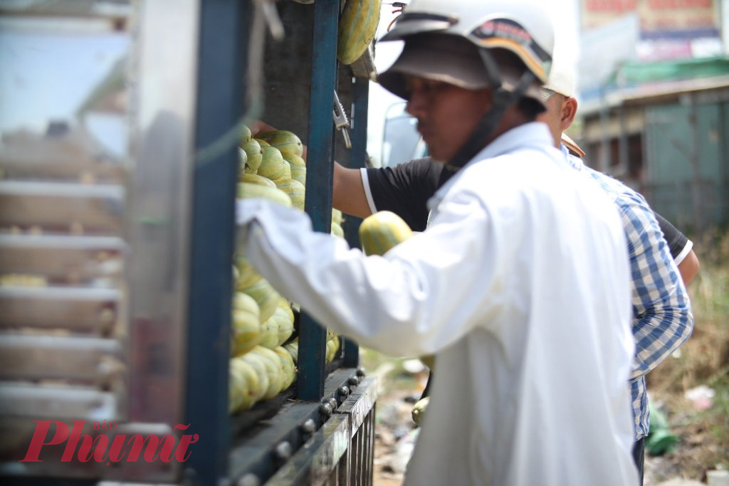 Sau đó, dưa gang được vận chuyển đưa đến thị trường.