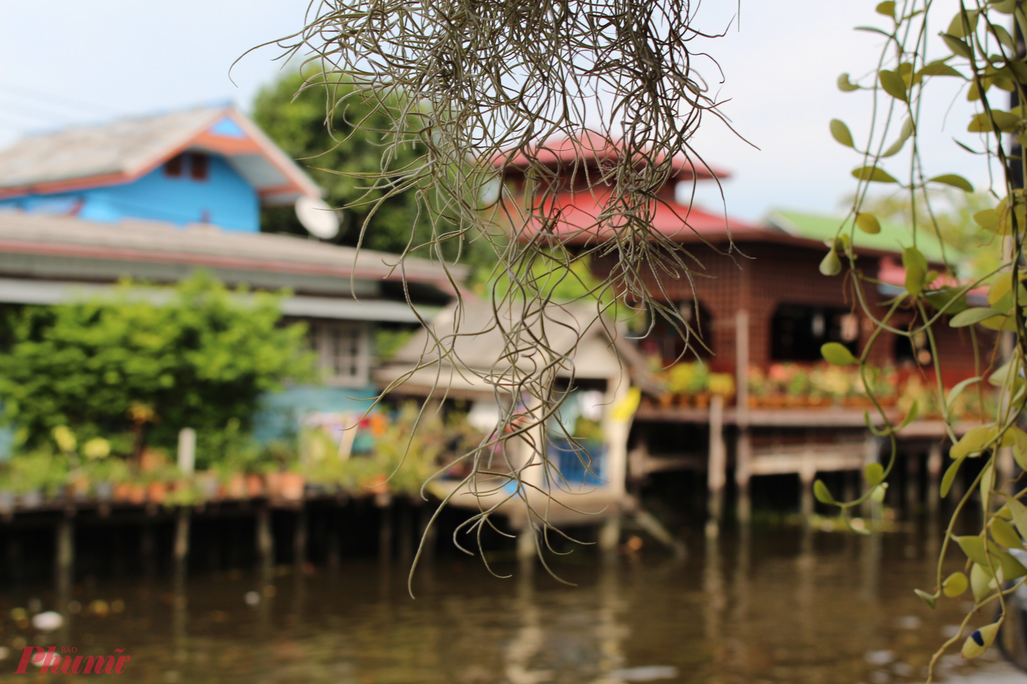 Khi lên lịch trình cho chuyến đi của mình, bạn có thể chọn thủ đô Bangkok hoặc Pattaya là điểm dừng chân bởi đây là hai khu vực ít mưa nhất vào khoảng thời gian tháng 7. Hơn nữa Bangkok và Pattaya là hai trung tâm lớn của xứ sở Chùa Vàng, quy tụ nhiều địa điểm vui chơi giải trí, mua sắm nên dù có đi vào ngày mưa du khách cũng không cần phải lo lắng vì bạn hoàn toàn có thể chuyển từ các địa điểm du lịch ngoài trời sang địa điểm du lịch trong nhà, không lo lịch trình đi du lịch Thái Lan tháng 7 bị ảnh hưởng. Ngoài ra, nếu muốn tận hưởng vẻ đẹp của biển đảo Thái Lan, bạn có thể chọn Hua Hin, Ko Samui,... vì lượng mưa ở đây thường ít hơn so với những khu vực như Krabi và Phuket. Nếu bạn muốn thả mình vào thiên nhiên và tận hưởng mùa hè trên bãi biển, thì Ko Samui, Ko Phangan, Ko Tao và Ko Samet sẽ là những lựa chọn lý tưởng vì đây là những bãi biển nổi bật của xứ Chùa Vàng.