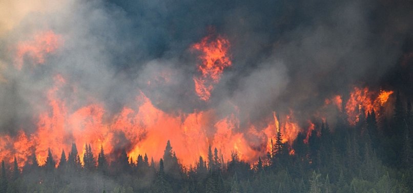Xảy ra hàng loạt các vụ cháy rừng ở Canada năm 2023 - Ảnh: Reuters