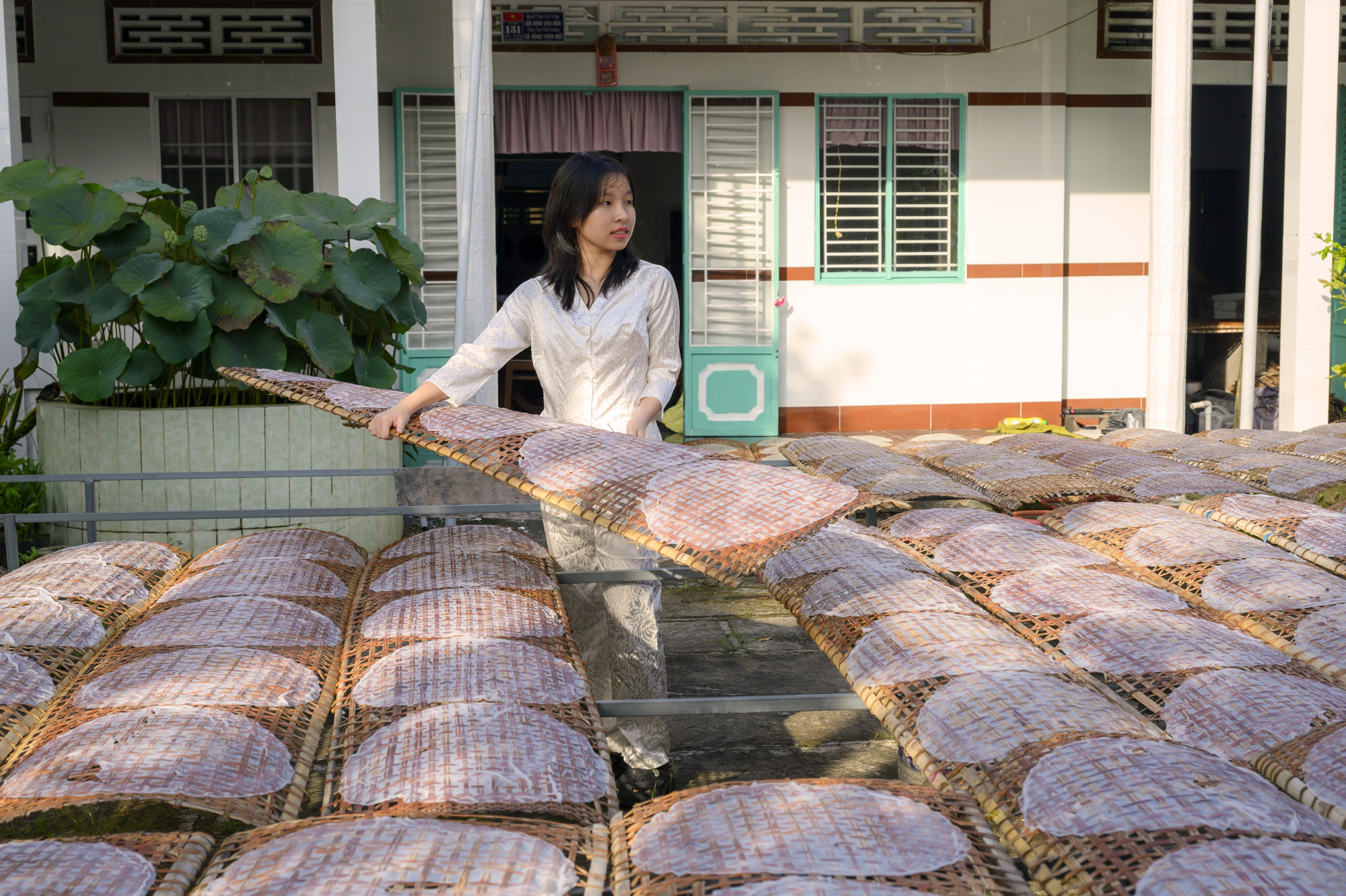 Từ TPHCM, bạn có thể di chuyển theo hướng cao tốc Trung Lương đến Vĩnh Long, hỏi đường hay tra Google Maps để đến bến phà di chuyển sang cù Lao Mây. 