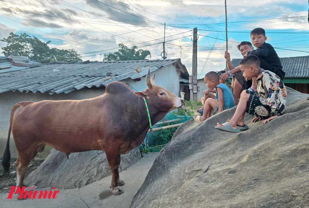 Mùa hè của các em