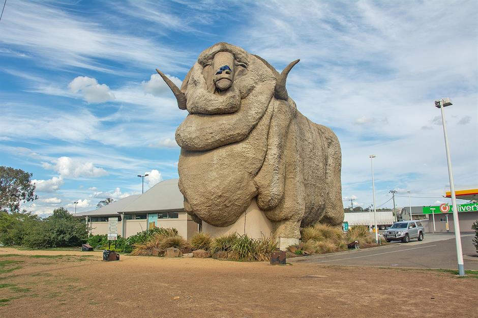 Big Merino, Goulburn, New South Wales, Úc Được đặt biệt danh là 'Rambo' (được mô phỏng theo một con cừu đực thực sự sống tại một khu đất gần đó), cấu trúc bê tông cao 50 foot (15,2m) có vẻ ngoài tự mãn này được khánh thành vào năm 1985 để thu hút sự chú ý đến các sản phẩm len địa phương. Năm 1997, loài động vật nhai lại - loài cừu lớn nhất thế giới - đã được di dời khỏi vị trí ban đầu của nó đến một địa điểm có lưu lượng giao thông cao hơn gần lối ra đường cao tốc. Ngày nay, du khách có thể bước vào bên trong để xem một cuộc triển lãm lịch sử về lịch sử và sản xuất len ​​ở Úc và mua chăn lông dê, áo len pha lông chồn và ủng da cừu Ugg từ cửa hàng quà tặng.