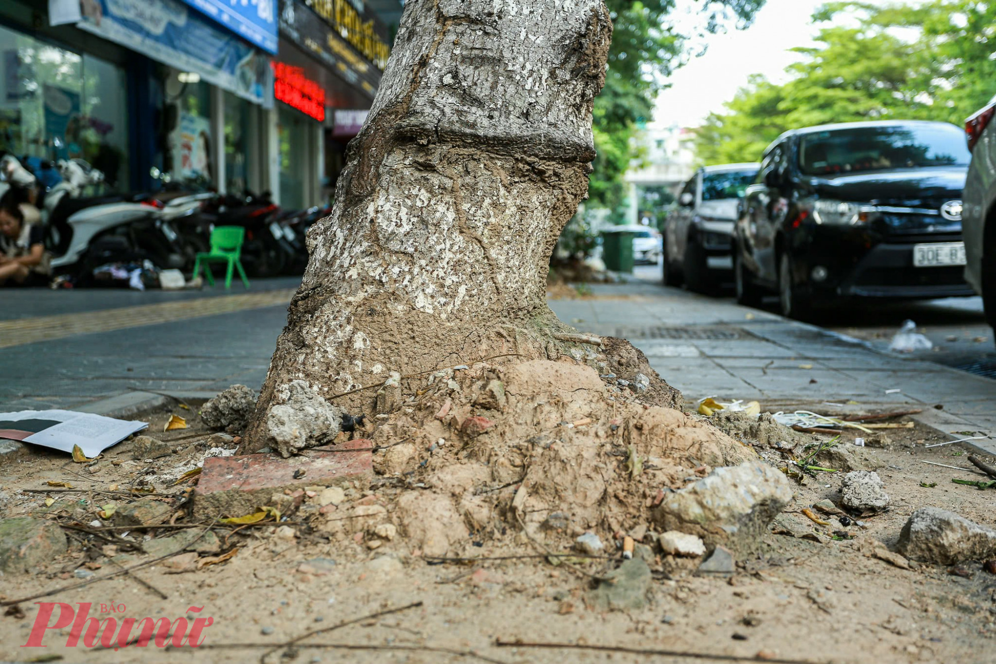 Một người dân bán nước trên địa bàn phố Trần Thái Tông cho biết: “Việc cây nghiêng, rễ trồi lên mặt đất, không được chống đỡ khiến chúng tôi rất lo ngại việc gãy đổ bất cứ lúc nào, đặc biệt mỗi khi mưa bão.”