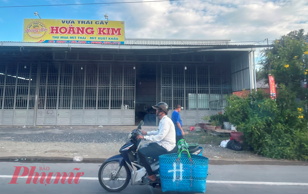 Theo UBND huyện Cái Bè, toàn huyện có trên 140.000ha trồng cây ăn trái, chủ yếu là mít, sầu riêng... Cái Bè được xem là huyện có nền kinh tế nông nghiệp phát triển mạnh của tỉnh Tiền Giang - Ảnh: Thanh Lâm