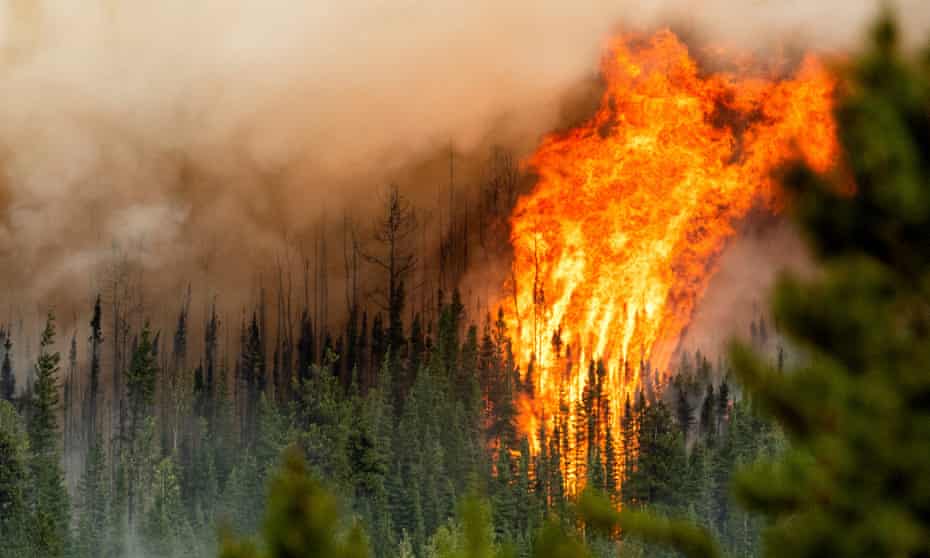 Canada chứng kiến số vụ cháy rừng kỷ lục trong năm 2023 - Ảnh: Guardian