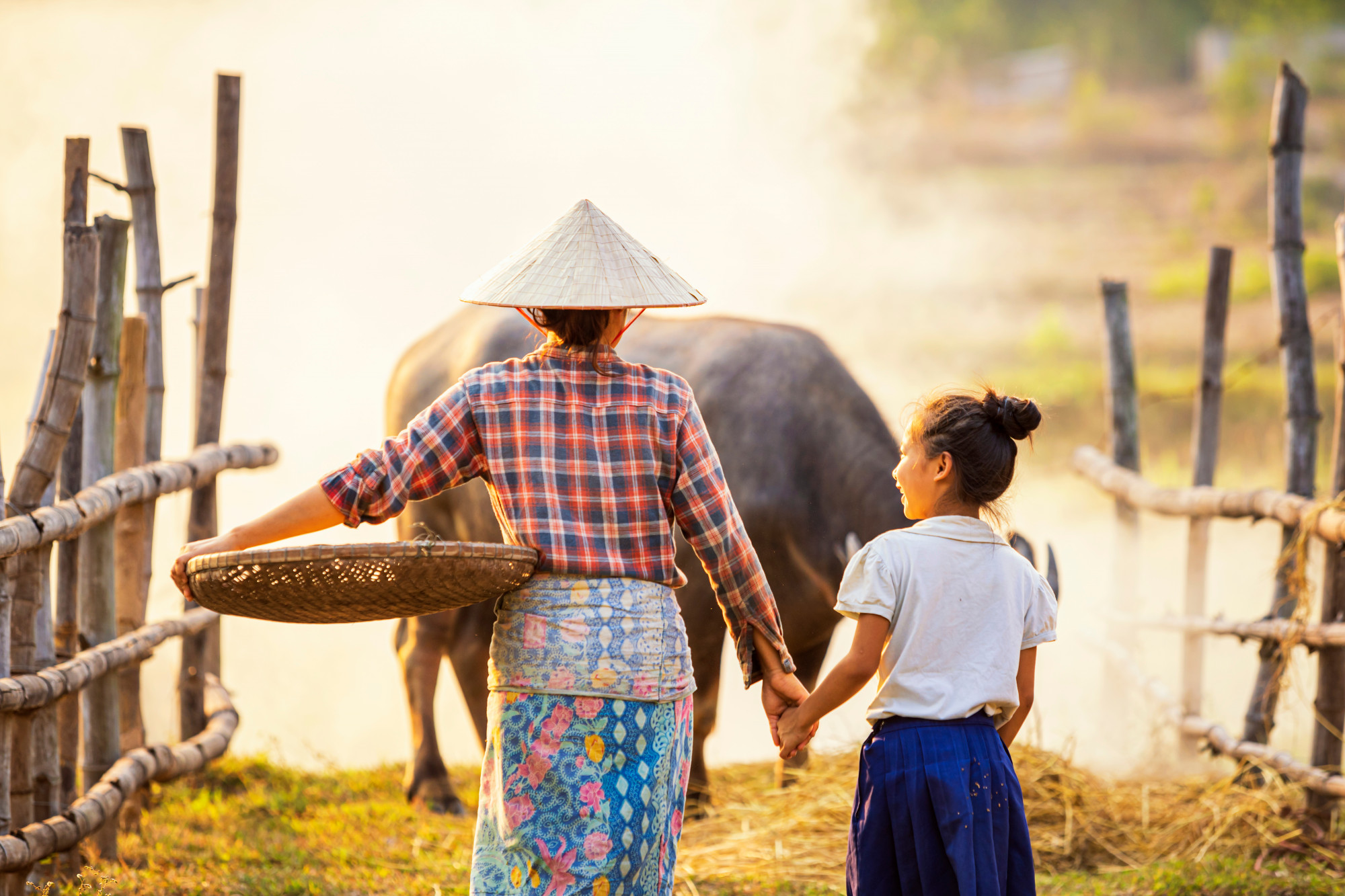 Ảnh mang tính minh họa - Shutterstock