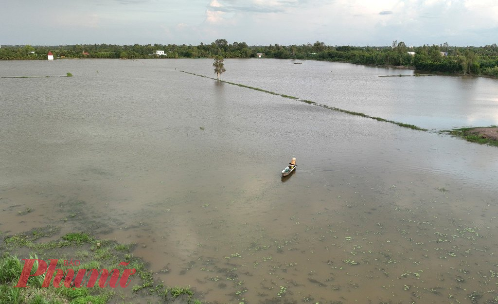 Khi nước lũ tràn đồng, cũng là lúc người dân vùng đầu nguồn các tỉnh An Giang, Đồng Tháp, Long An tất bật sinh kế mùa nước nổi.