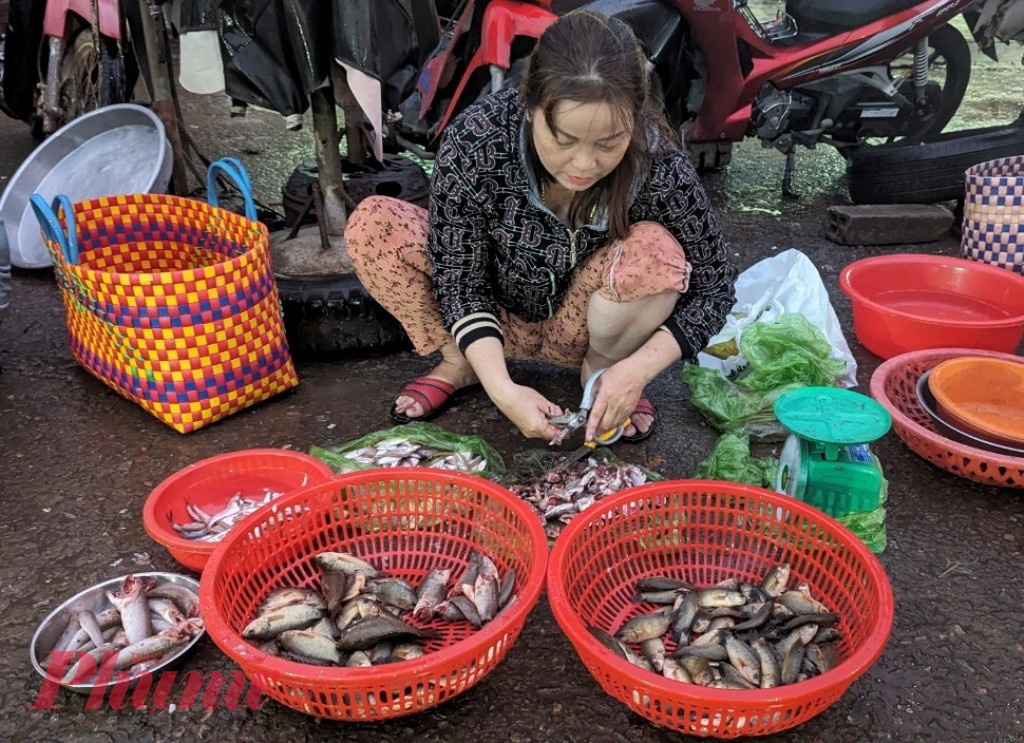 Một tiểu thương đang làm sạch cá rô, cá lóc đồng bán cho khách hàng.