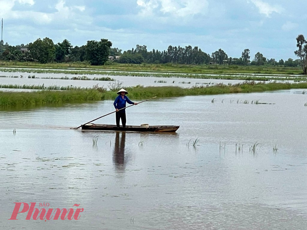 Người dân miền sông nước sinh kế mùa nước nổi.