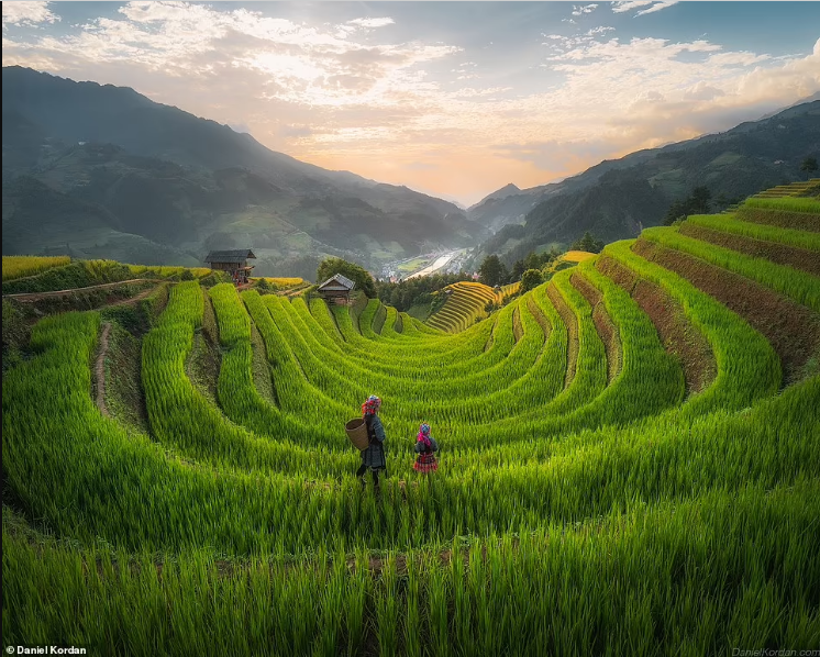 Cánh đồng lúa ở Mù Cang Chải, tỉnh Yên Bái. Daniel nói: “Những bậc thang xanh tươi khắc vào sườn núi, thể hiện vẻ đẹp tự nhiên và sự khéo léo của con người.”