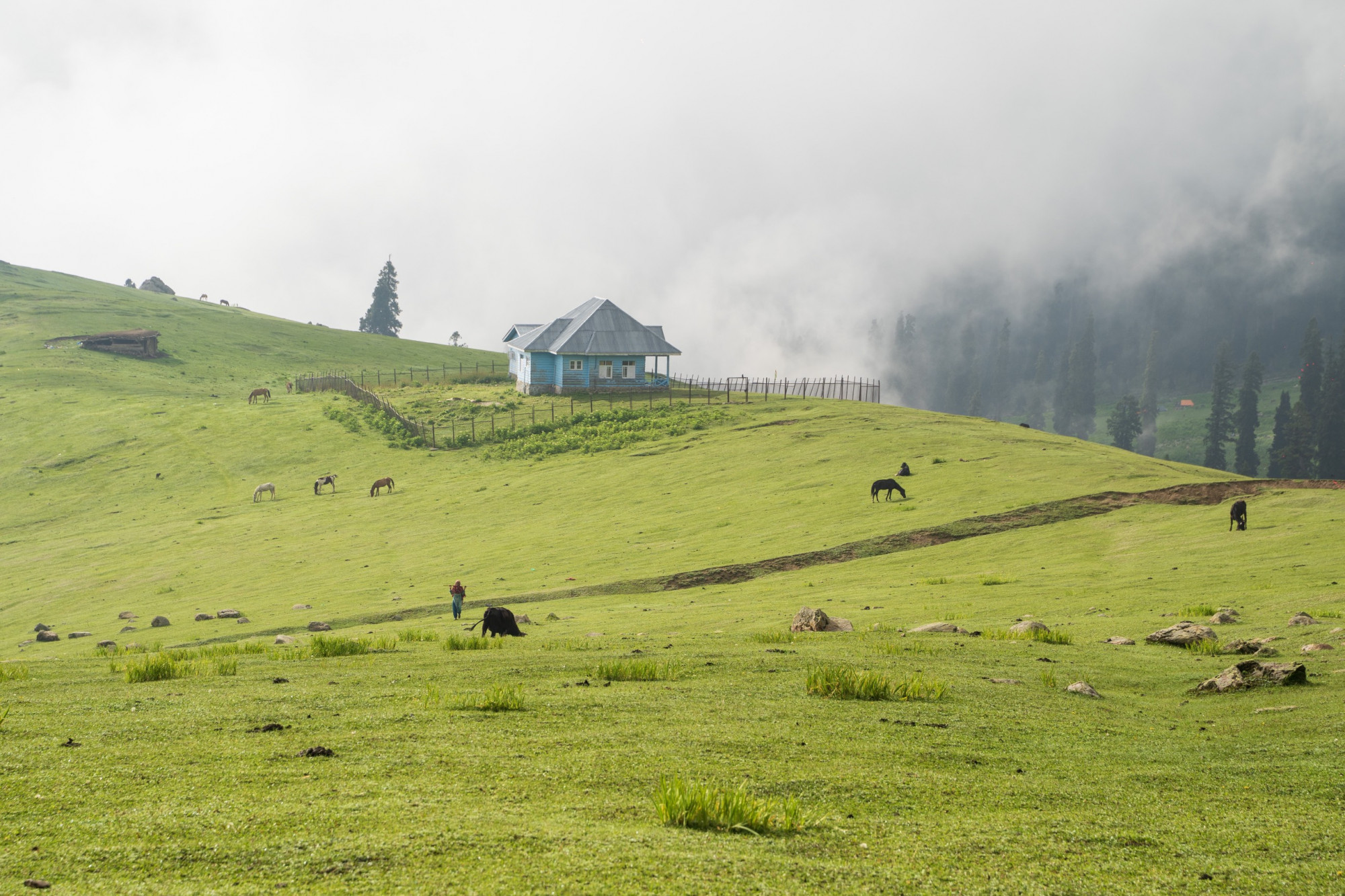 Hành trình Kashmir Great Lakes kéo dài 7 ngày 6 đêm, hòa mình vào thiên nhiên, không có điện và sóng điện thoại sẽ là một trải nghiệm khó quên cho bất kì du khách nào. Cung đường trekking bắt đầu xuất phát từ Sonarmag, đi qua 3 đỉnh đèo lớn là Nichnai (4080m), Gadsar (4180m), Zajibal (4080m) cùng rất nhiều sông hồ có nguồn nước đều từ băng trên núi tan chảy xuống.