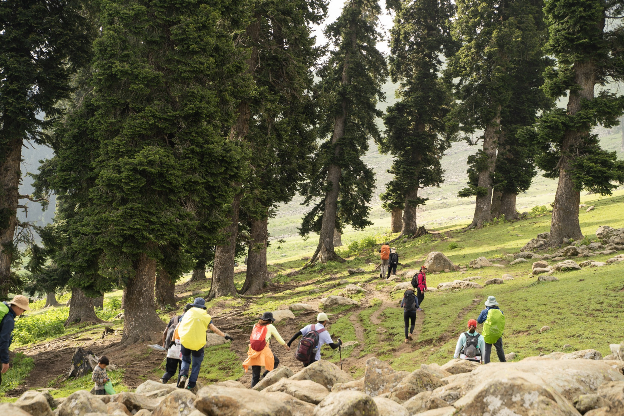 Mỗi ngày, nhóm của chị Thanh thực hiện chặng đường trek trung bình 10-11 km liên tục, trèo lên dốc cao và hạ sâu xuống thung lũng. Tổng quảng đường trong 7 ngày 6 đêm là 75km.