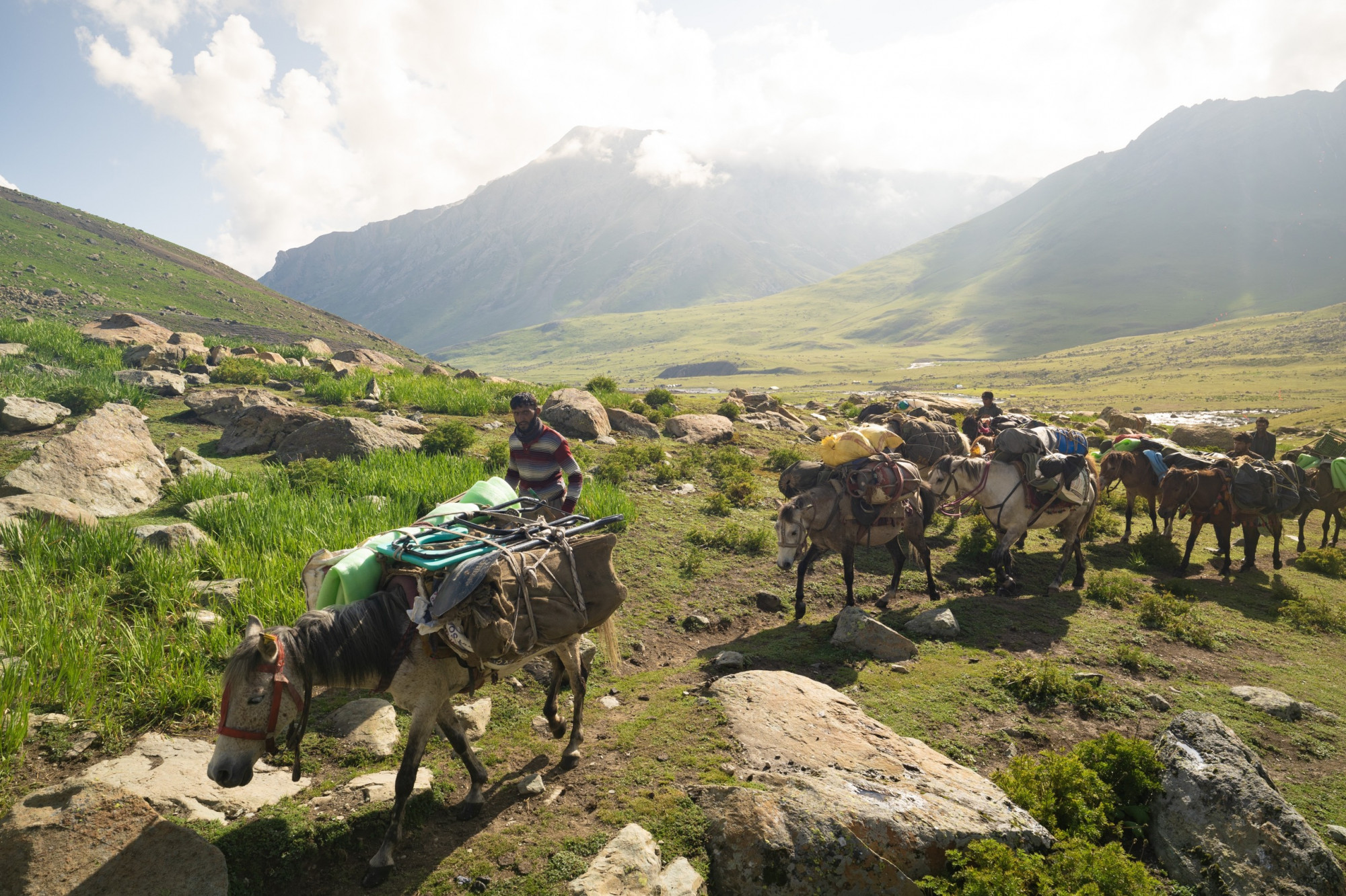 Trong trường hợp du khách không đủ sức tự đi trekking hết 7 ngày hoặc gặp sự cố về sức khỏe thì có thể thuê ngựa với giá khoảng 700.000 đồng. Ngựa cũng là phương tiện chính để vận chuyển đồ cho du khách cũng như các nhu yếu phẩm khác cho người dân nơi đây.