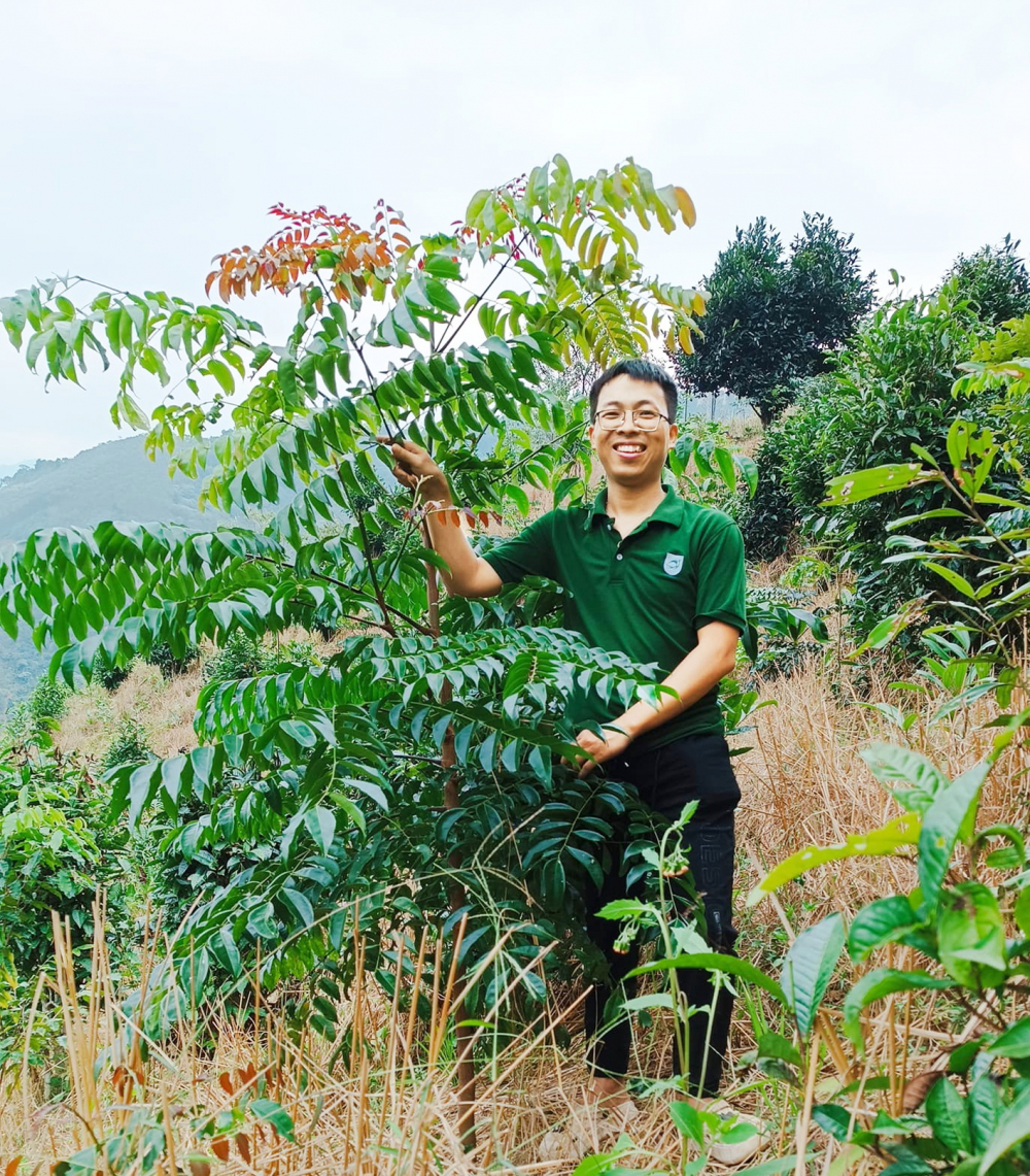 Hạnh phúc của Sùng A Cải là nhìn thấy cây rừng sinh trưởng, phát triển khỏe mạnh - ẢNH: D.A.