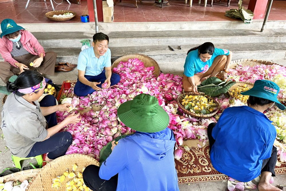 Anh Phạm Kim Tiến hướng dẫn công nhân tách các bộ phận của hoa sen để sản xuất trà