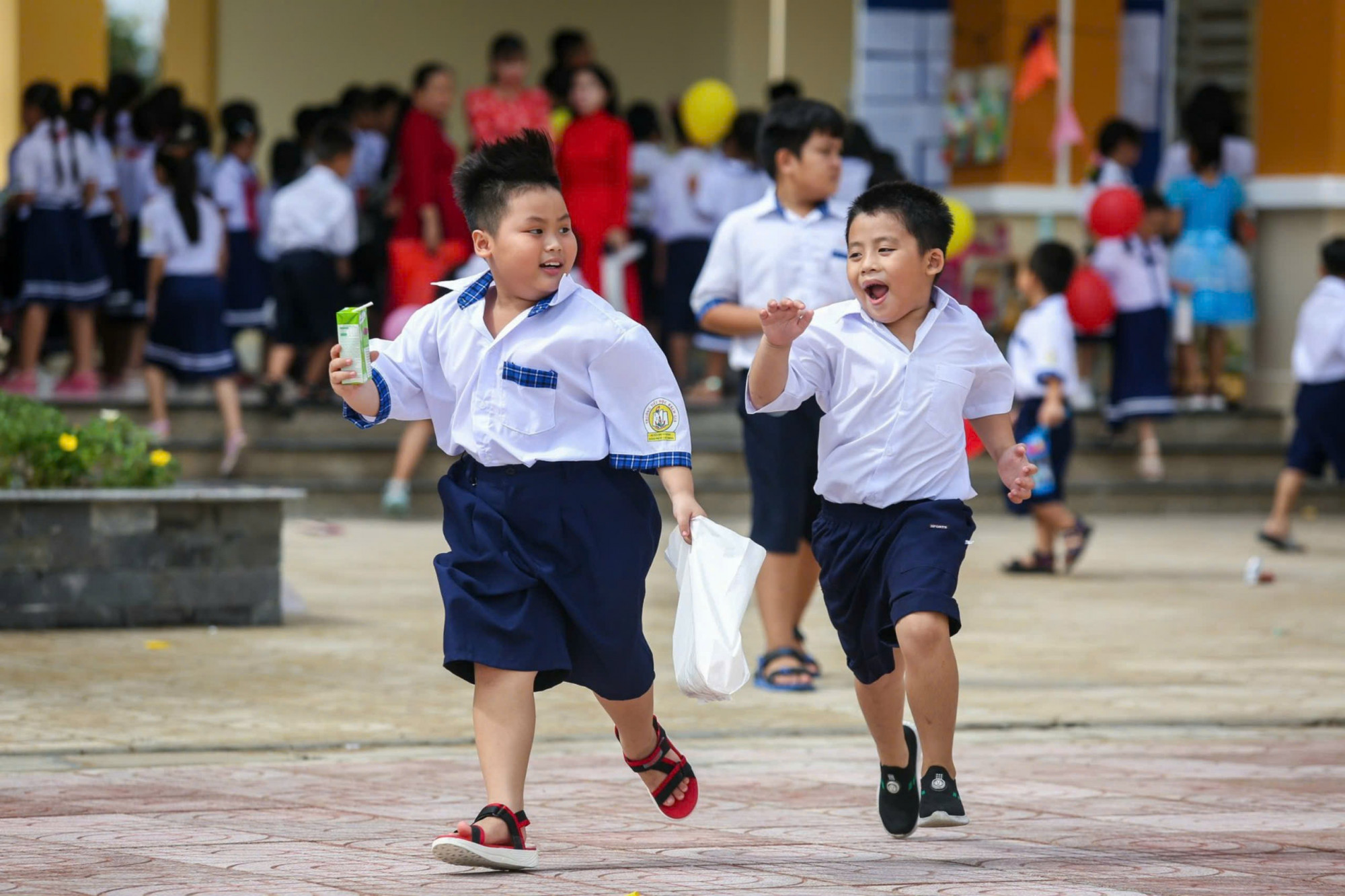 Tới đây TPHCM sẽ mạnh tay xử lý những trường hợp trường học quảng cáo không đúng sự thật