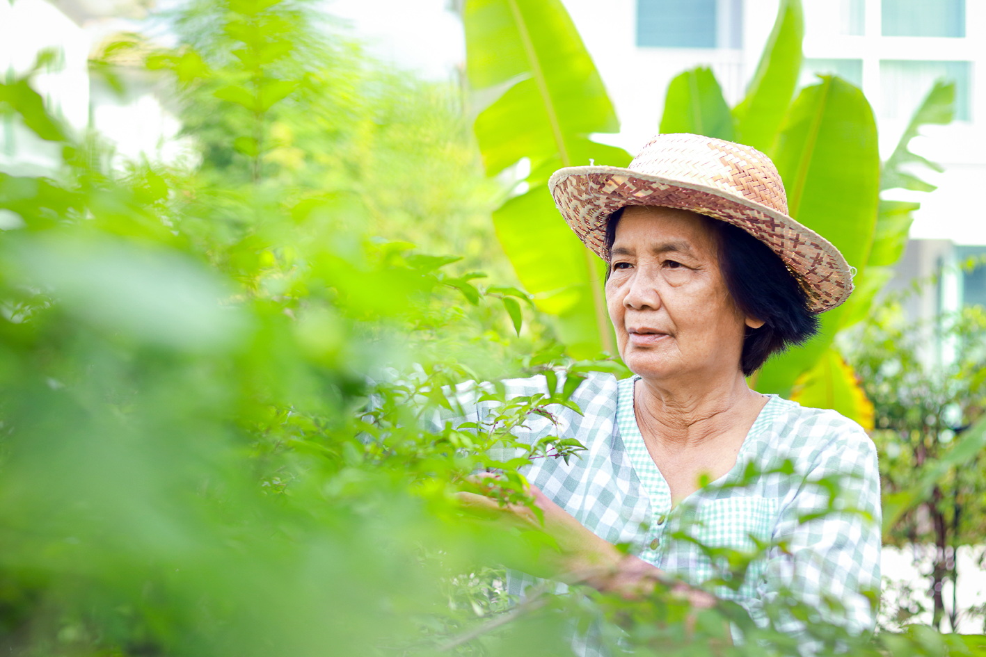 Ảnh mang tính minh họa - Shutterstock