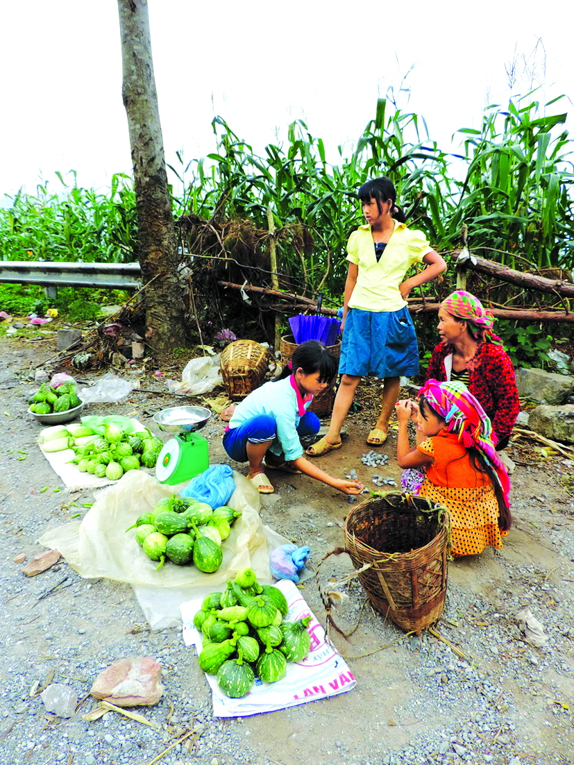 Bí đỏ non bán trên đường đi Hà Giang