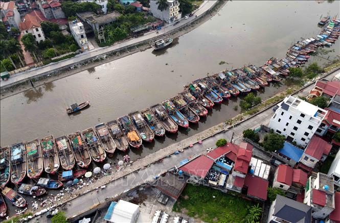 Tàu thuyền neo đậu tại khu vực bến cá Tân Sơn, huyện Thái Thụy (Thái Bình) để tránh bão số 3. Ảnh: Thế Duyệt/TTXVN