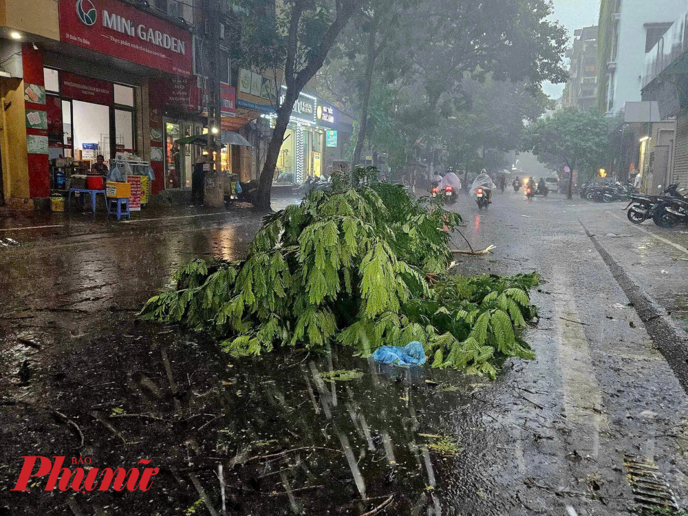 Trên đường phố Hà Nội, mưa giông lốc khiến nhiều cây cối đổ gãy rơi trên đường.