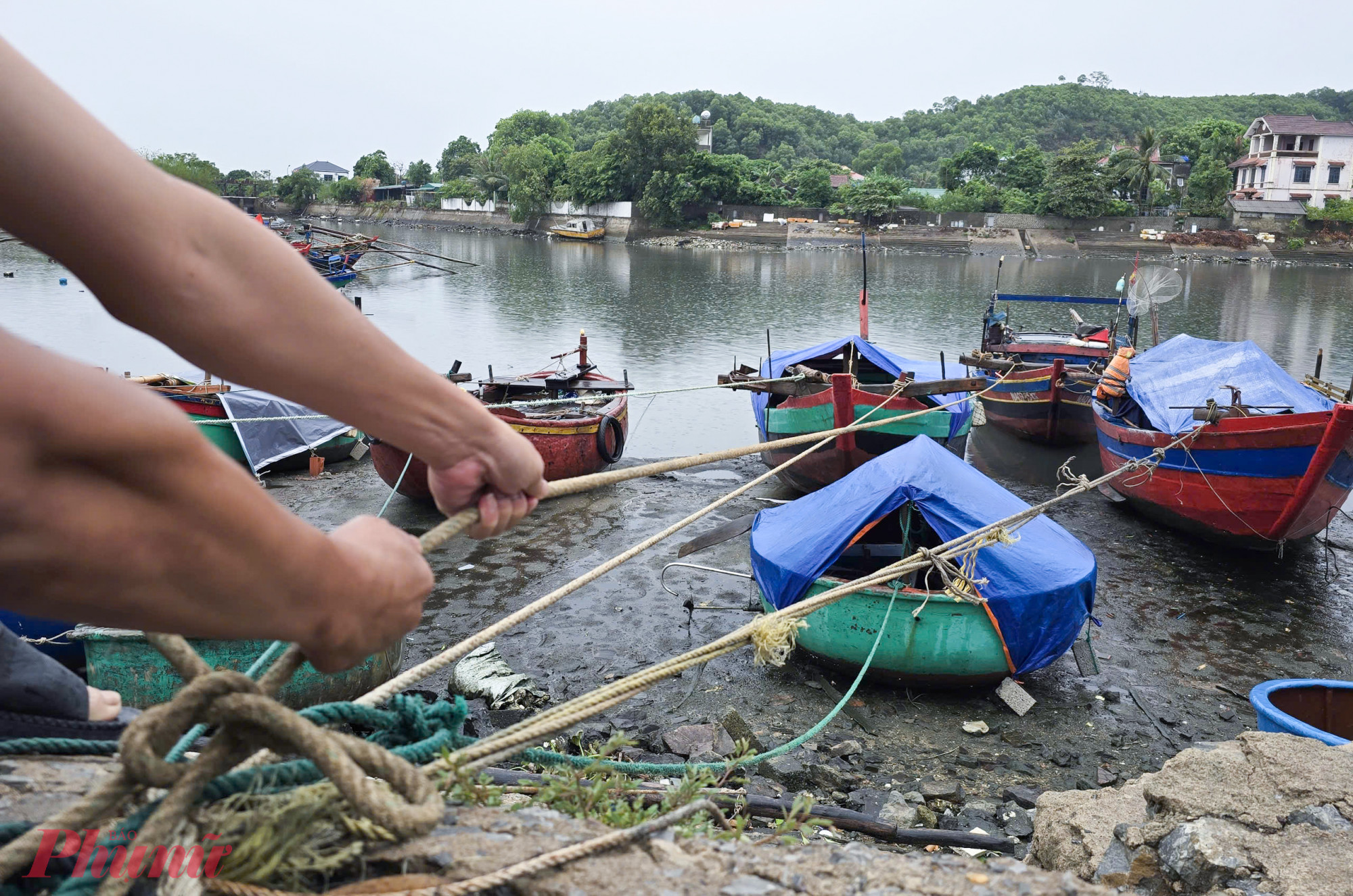 Để phòng, chống ảnh hưởng của siêu bão Yagi, tỉnh Nghệ An ban hành lệnh cấm biển, bắt đầu từ 5g ngày 6/9. Nghệ An hiện có hơn 2.830 thuyền đánh cá. Đến trưa ngày 6/9, phần lớn tàu thuyền của ngư dân đã vào bờ để tránh trú bão.