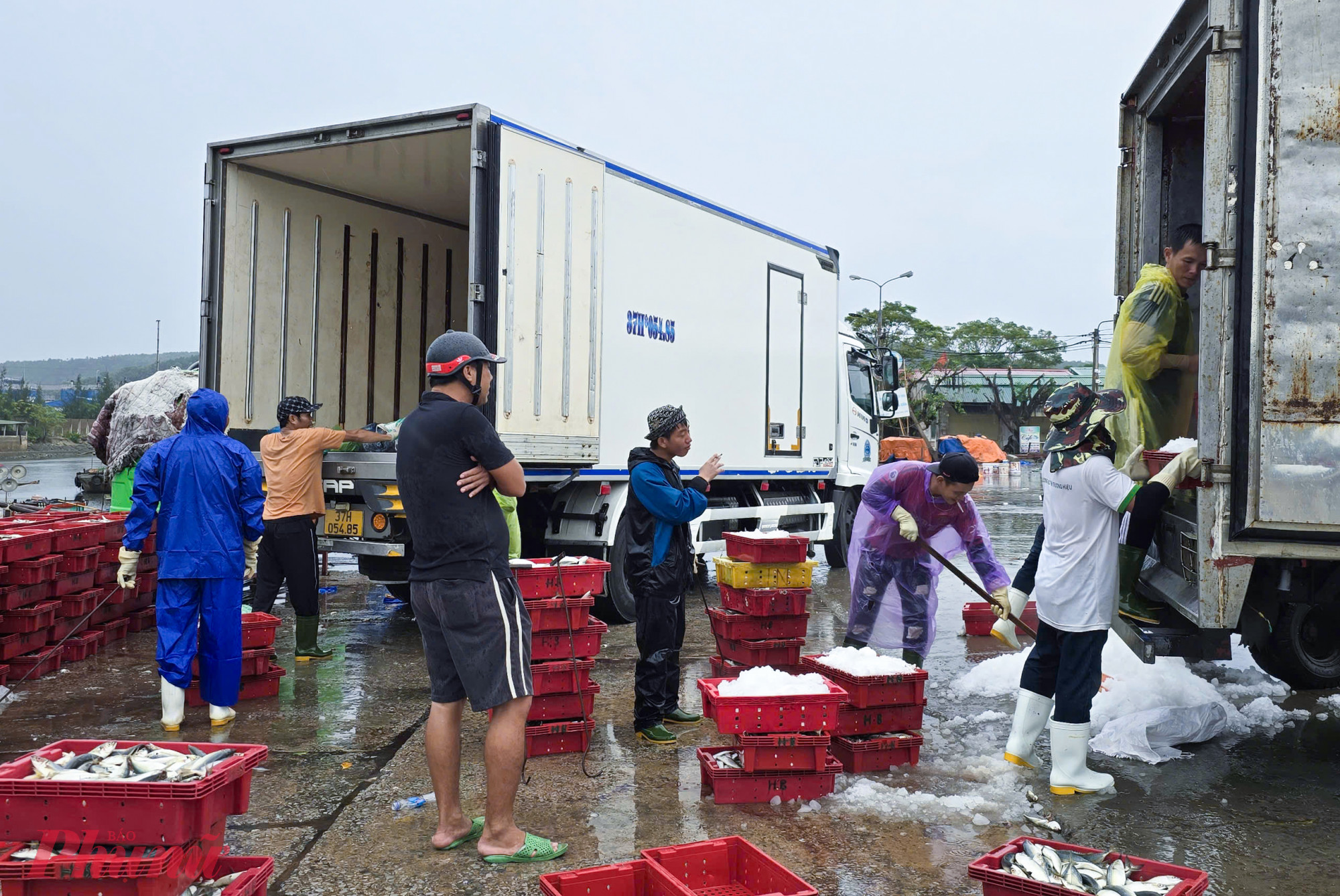 Không khí tấp nập, khẩn trương ở Bến cá Nghi Thủy (TX Cửa Lò, tỉnh Nghệ An). Những mẻ cá cuối cùng được ngư dân đưa vào bờ, bán cho thương lái trước khi neo đậu tàu thuyền.