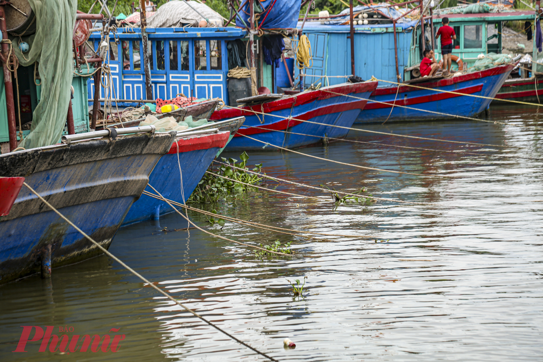 Các tàu, thuyền được ngư dân buộc, chằng vào nhau để cùng vượt bão