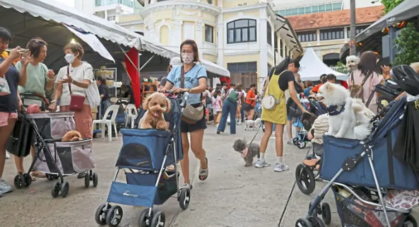 Ngày nay, nhiều người mua nhà ngoài yêu cầu dành không gian cho bản thân còn đòi hỏi các khu vực thân thiện cho thú cưng