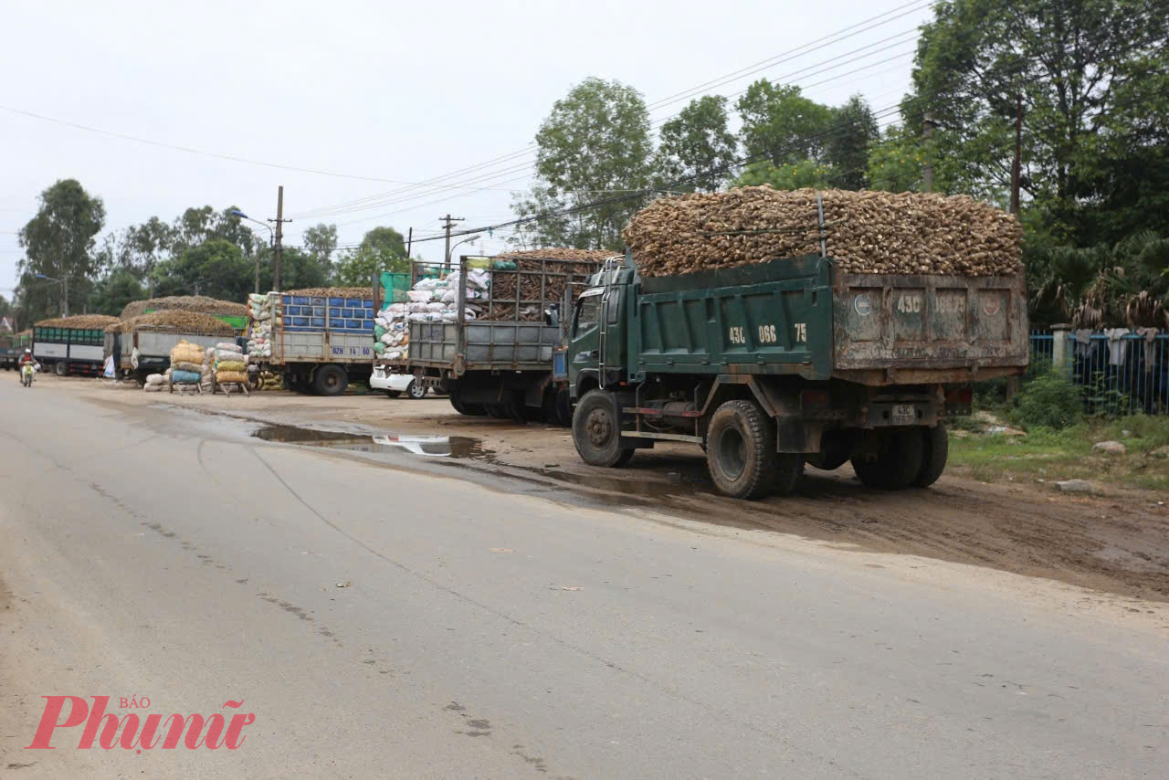 Nhà máy Tinh bột sắn Quảng Nam