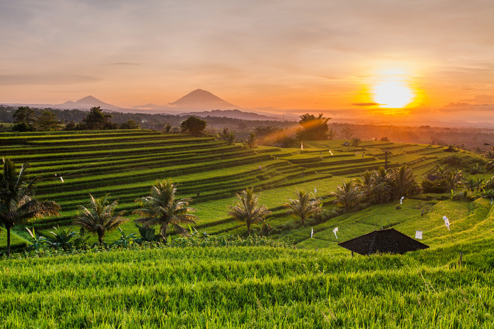 Thị trấn Ubud được mệnh danh là “trung tâm văn hóa và du lịch của đảo Bali” – nơi sở hữu vẻ đẹp lãng mạn đúng chuẩn điện ảnh. Đến với vùng đất này, du khách sẽ được tận hưởng một bầu không khí bình lặng, ngắm nhìn khung cảnh thiên nhiên kỳ thú và dạo quanh những tòa công trình kiến trúc cổ kính.