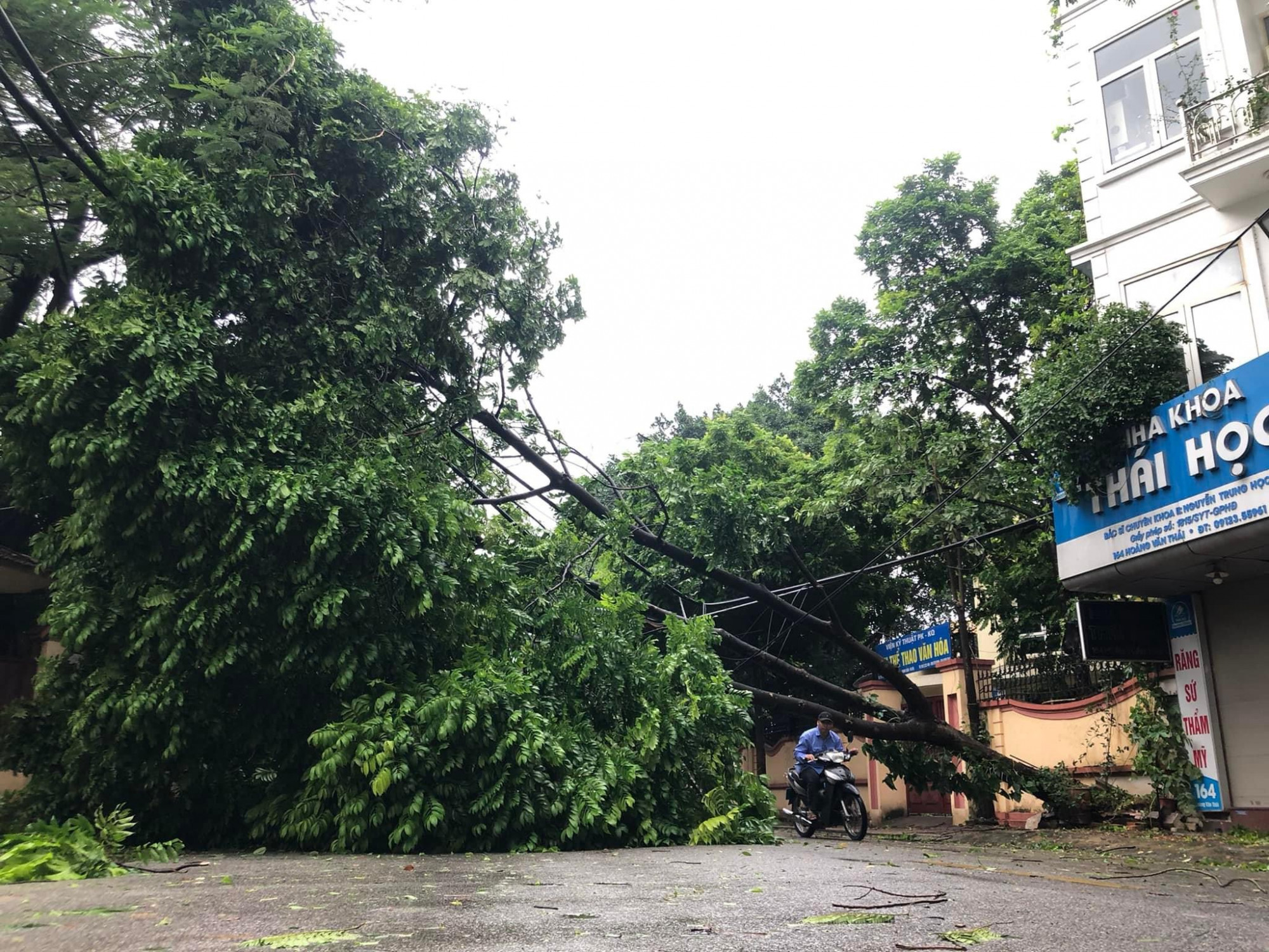 Người đứng đầu chính quyền Thủ đô đã yêu cầu các sở, ban, ngành, địa phương tập trung triển khai thực hiện quyết liệt, kịp thời, hiệu quả công tác phòng ngừa, ứng phó mưa, bão, lũ, thiên tai với tinh thần chủ động phòng ngừa, ứng phó ở mức cao nhất, hạn chế thấp nhất thiệt hại về tài sản của nhân dân và Nhà nước