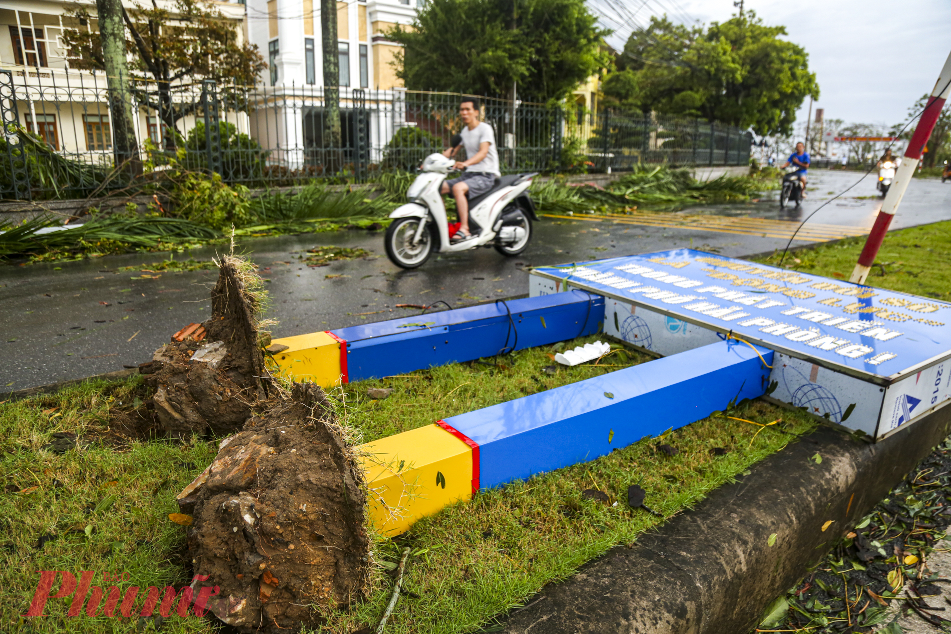 Đường Lê Hồng Phong là một trong nhiều tuyến đường ngổn ngang sau khi bão số 3 đi vào Hải Phòng. Các biển báo, cây xanh đổ xuống đường la liệt.