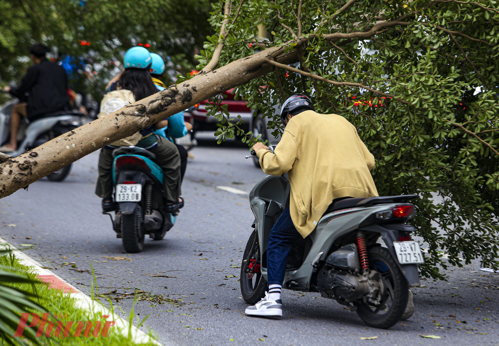 Đường tắc, nhiều chủ xe bất chấp leo lên vỉa hè dù nơi đây phủ kín là cây xanh bị đổ chưa dọn.