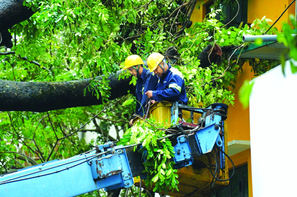 Nhân viên Công ty TNHH một thành viên Công viên cây xanh TPHCM xử lý cây xanh gãy đổ ở TP Hà Nội - ẢNH: XUÂN PHÚ