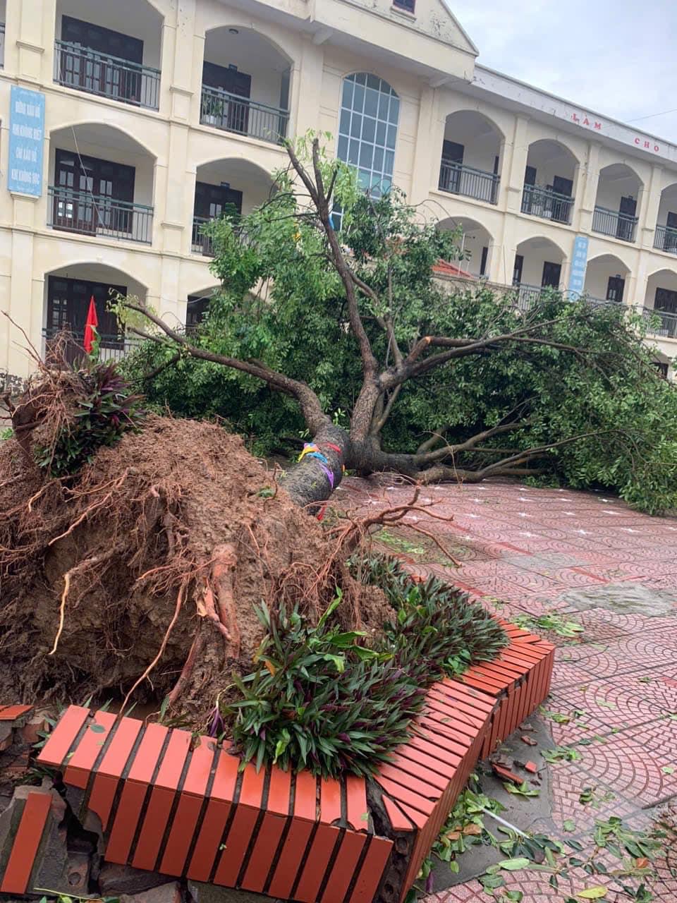 Mọi hành vi phá hoại, bạc đãi nào với môi trường đều dẫn đến hậu quả. Đó là sự trừng phạt đích đáng của mẹ thiên nhiên (ảnh minh hoạ: Facebook Những câu chuyện thú vị)