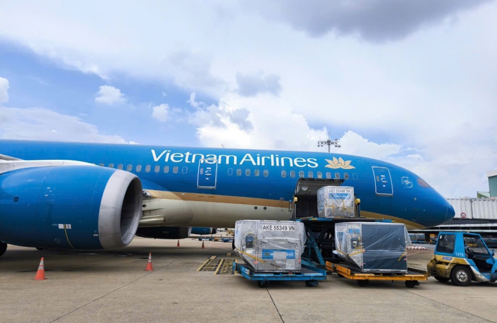 Đại diện hãng hàng không quốc gia Việt Nam (Vietnam Airlines) cho biết, sau thông báo của hãng ngày 10/9 về việc tiếp nhận và vận chuyển miễn phí hàng hóa cứu trợ đến các tỉnh thành phía Bắc có người dân bị ảnh hưởng vì bão lụt, tính đến nay chỉ sau 2 ngày triển khai, Hãng đã vận chuyển gần 30 tấn hàng hóa gồm áo phao, thuốc men, thực phẩm, đồ uống...