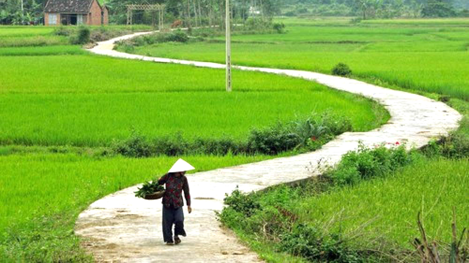 Ảnh mang tính minh họa 