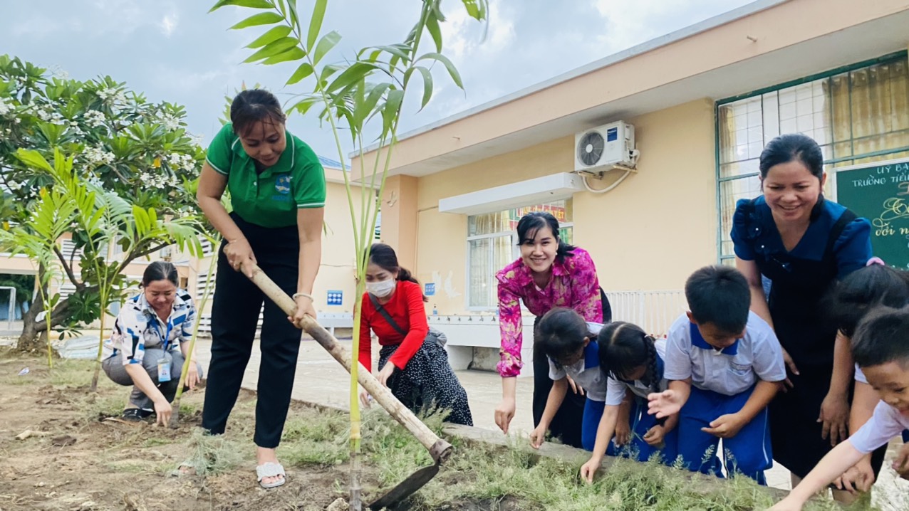 Cây đô thị không chỉ làm đẹp cảnh quan mà còn lọc bụi mịn, khí độc hại và các chất ô nhiễm khác trong không khí. 