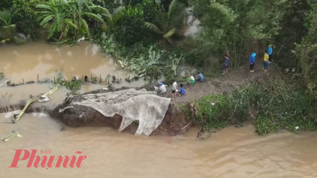 Sạt khiến 22 hộ dân ở ấp Phú Bình, xã Vĩnh Bình, huyện Chợ Lách (tỉnh Bến Tre) bị ảnh hưởng - Ảnh: T.L.