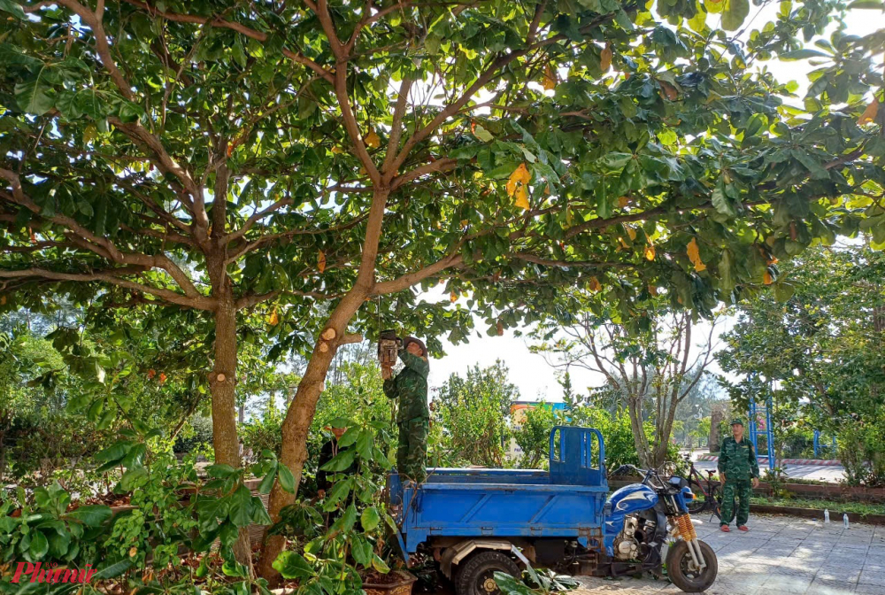 Chiều 18/9, các địa phương, đơn vị tại tỉnh Quảng Trị đang triển khai công tác ứng phó với áp thấp nhiệt đới (ATNĐ) có khả năng mạnh lên thành bão.