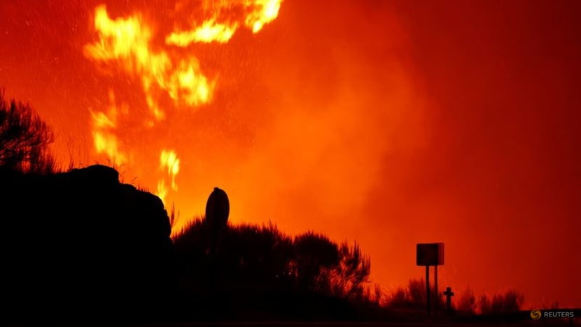 Ít nhất 7 người thiệt mạng sau hàng loạt vụ chây rừng nghiêm trọng ở Bồ Đào Nha - Ảnh: Reuters